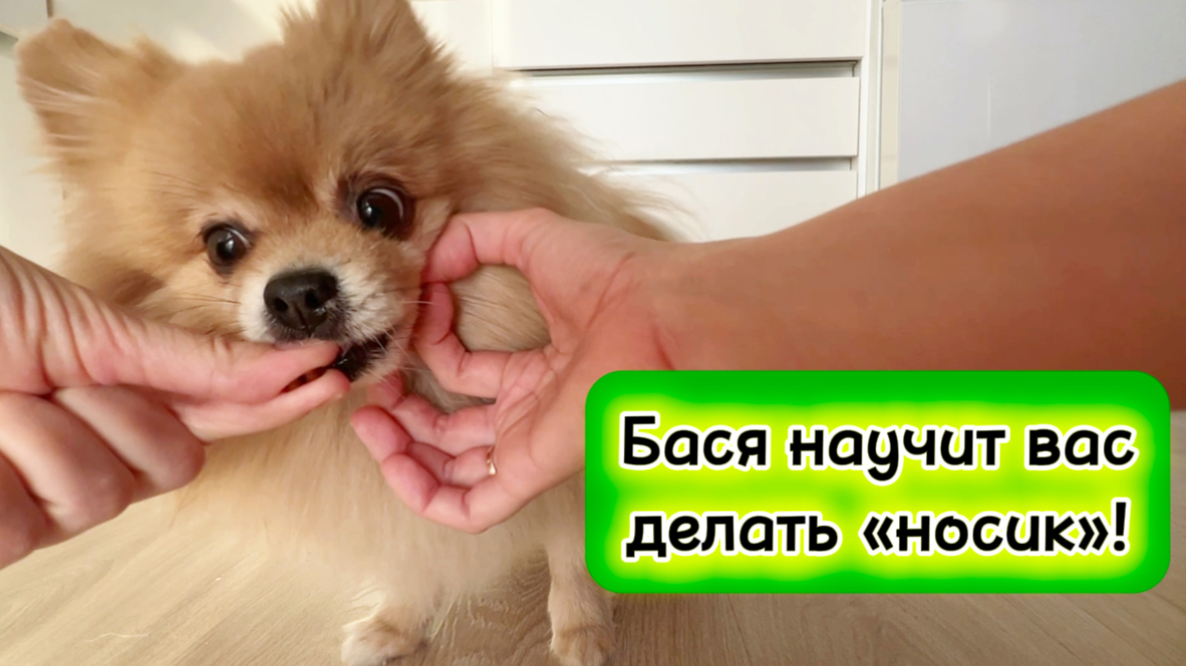 Бася научит вас делать «носик»!