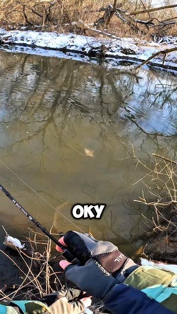 ВЕСЕННЯЯ ЖИРОБАСИНА 😱