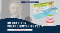 Миронов История про Пластины