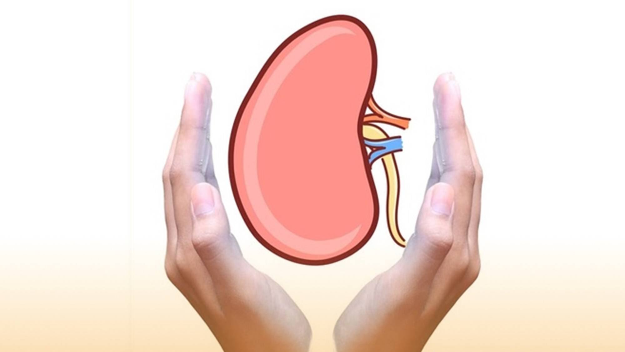 Видеоурок "Упражнения для почек"