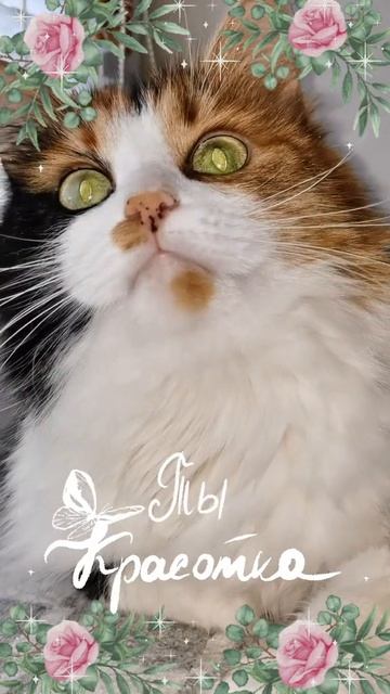 Моя маленькая кошечка-доченька.
