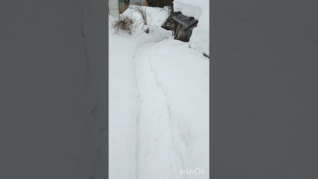 1000009632.mp4