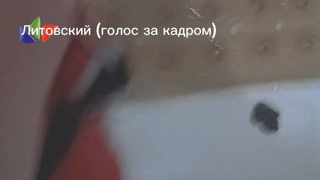 ну тейлз ну погоди на разных языках