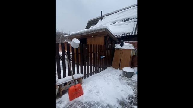 video5375140537173041136