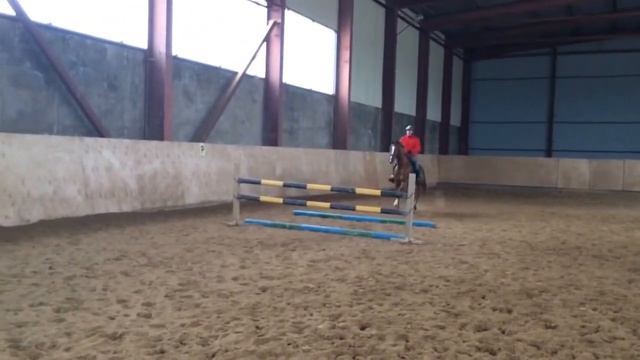 Алексей Ермаченков на Экселент  Бой.  КСК "Озерный край" декабрь 2015г.