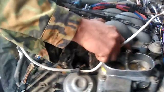 V8 4,6L Megasquirt II
