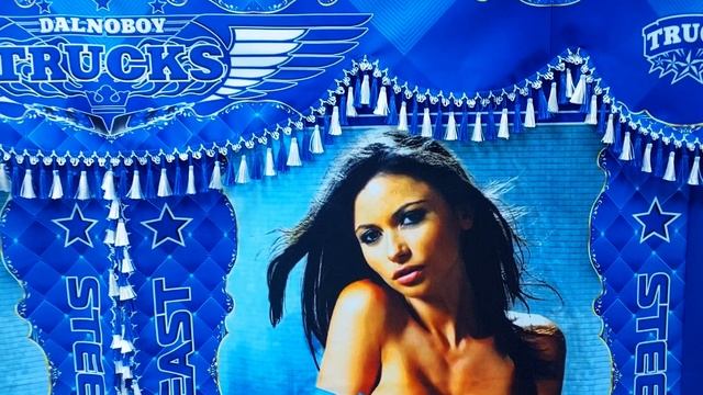 Автошторы на грузовые авто (ламбрекены,спальники,ночники)