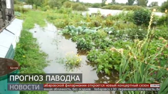 Прогноз паводка. Новости. 17/08/2022. GuberniaTV