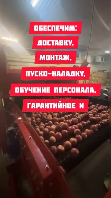 Предлагаем линии калибровки яблок АСК-1