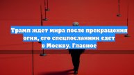 Трамп ждет мира после прекращения огня, его спецпосланник едет в Москву. Главное