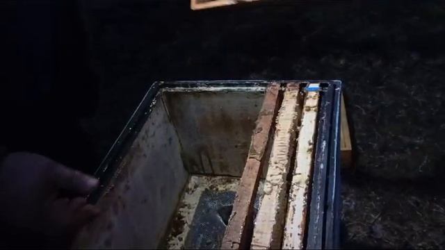 VID-20250313-WA0010