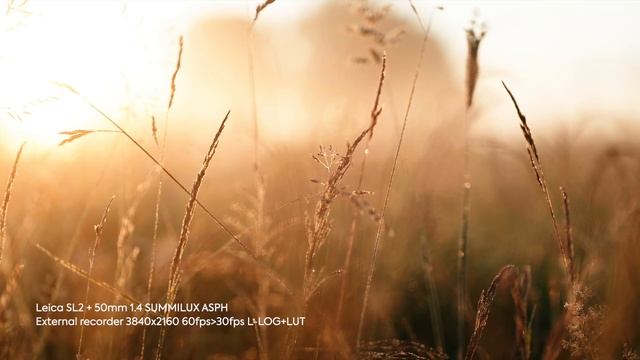 LEICA SL2 VIDEO TEST