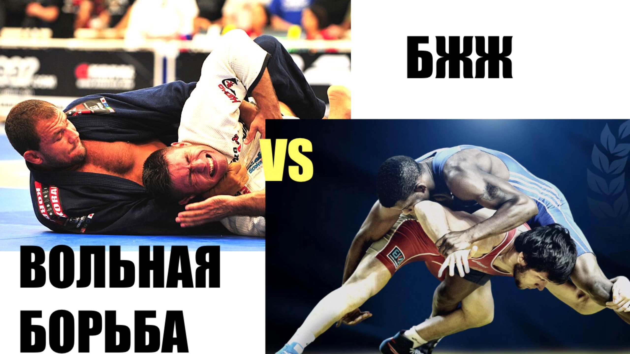 БЖЖ vs ВОЛЬНАЯ БОРЬБА. ПО ПРАВИЛАМ ВОЛЬНОЙ