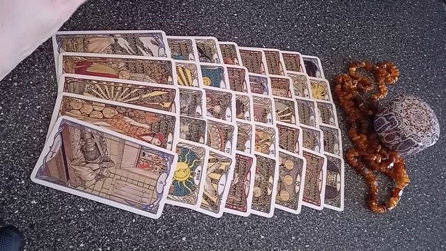 VID_20250313_124515.mp4