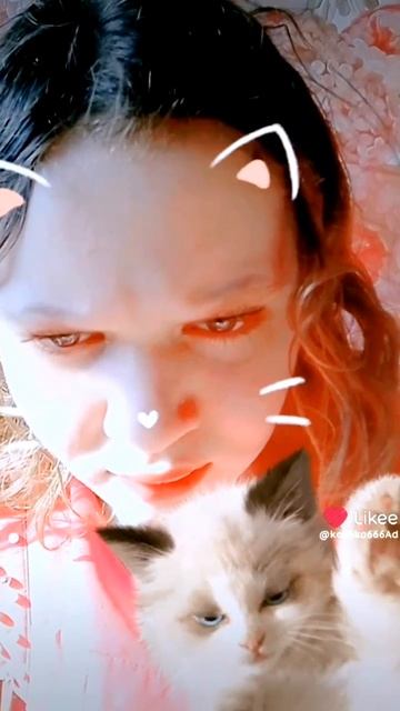 scene_output.mp4