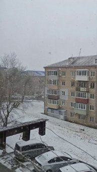 Люблю Снежок 8 Марта