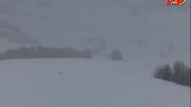 Информационный выпуск «Сегодня» с Ириной Джиоевой. 11.02.2019.