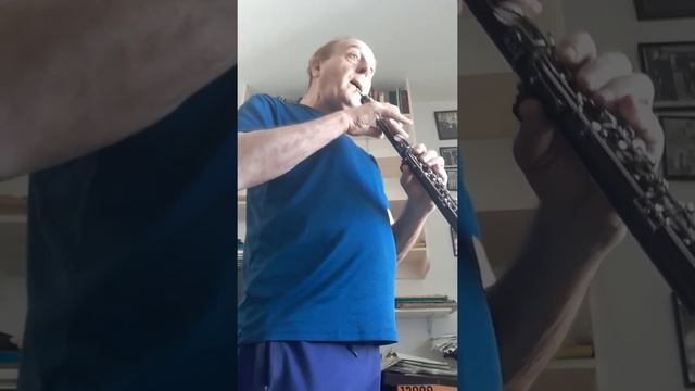 Harold Emert: Improvisation on Salome' s Dance of the Seven Veils( 1999) by Richard Strauss