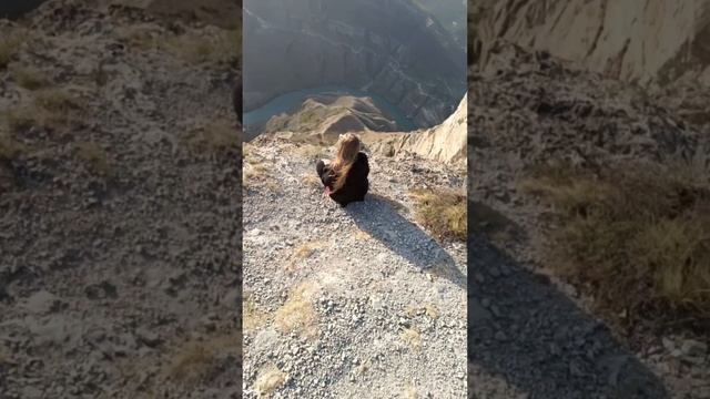 цените каждый день