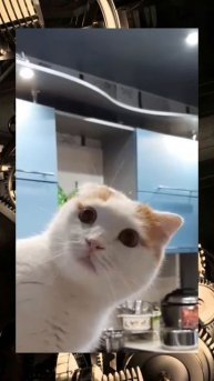 Жук майский пролетел что ль 😂😂😜