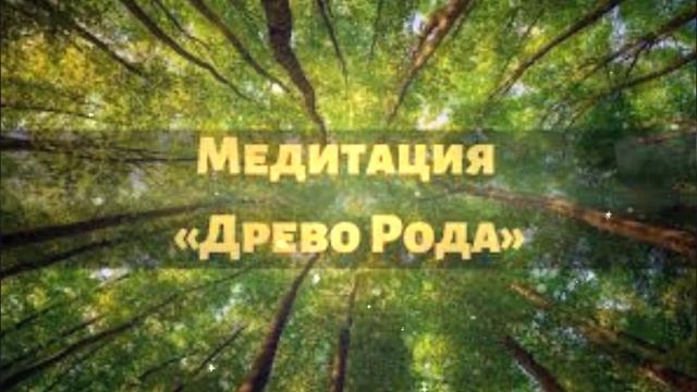 древо рода 2mp4
