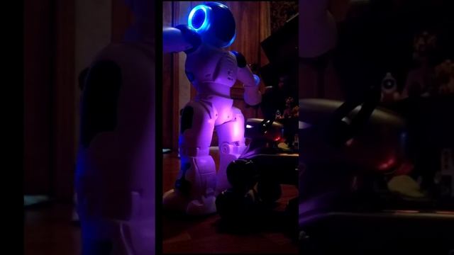 Неудачные роботы robot fails (1)