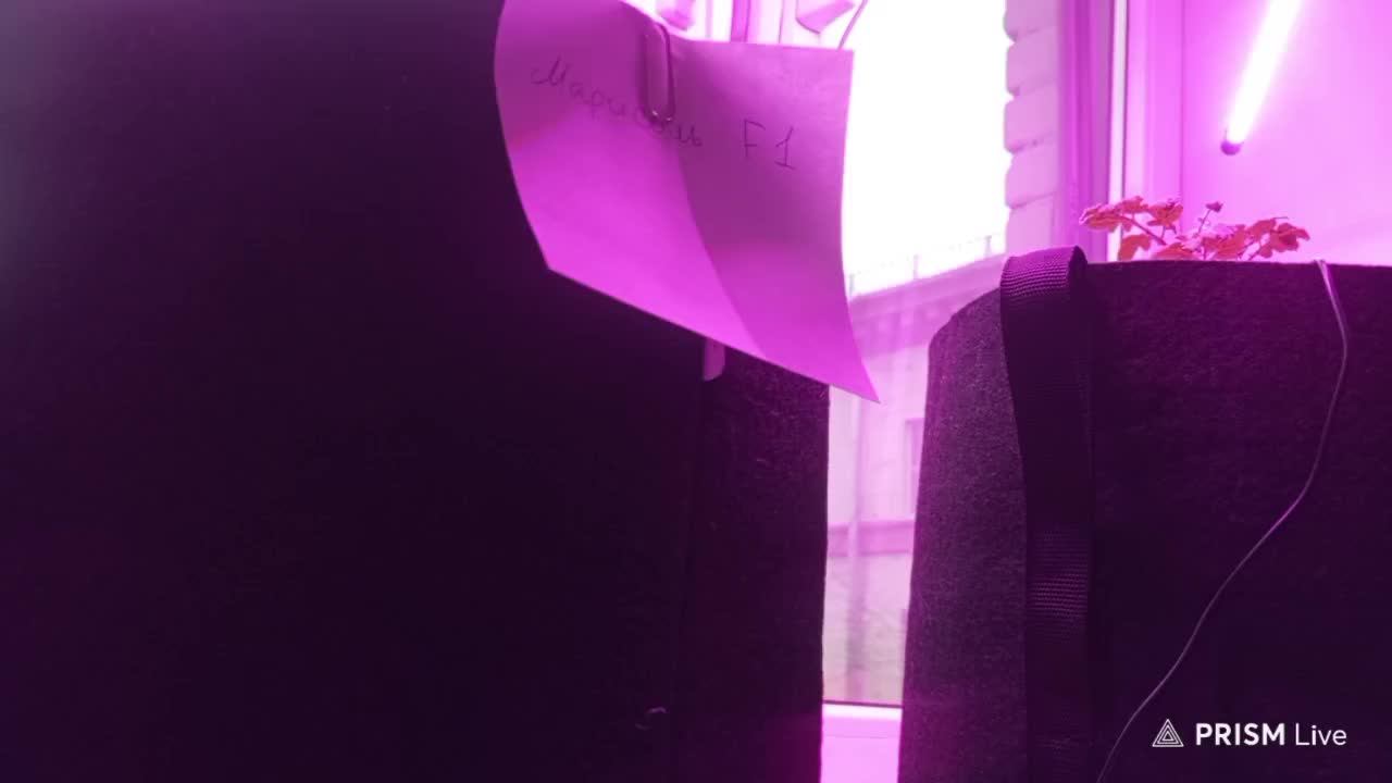 Test 7