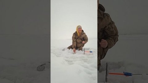 Новый день ✨ новый улов 🐬