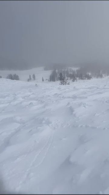 VID-20250312-WA0016