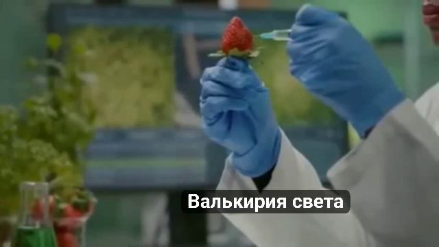 Пластиковая еда.