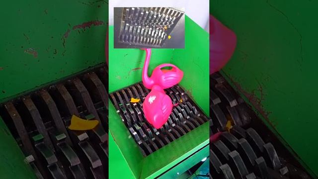 #микроскоп #наука #микромир #подмикроскопом #интересно