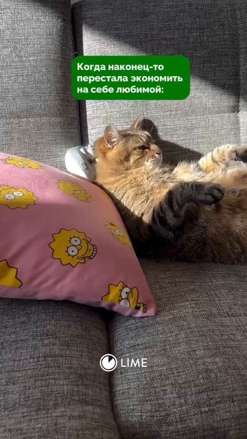 Когда перестал себя ограничивать в своих хотелках 😂