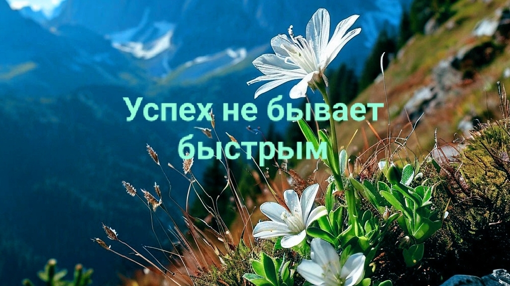 Ответы на твои вопросы