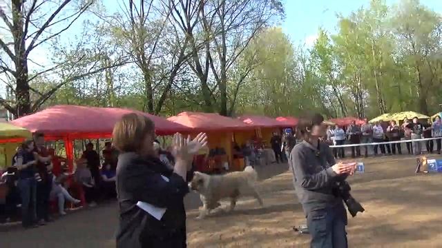 расстановка 6-7 места MAH00441