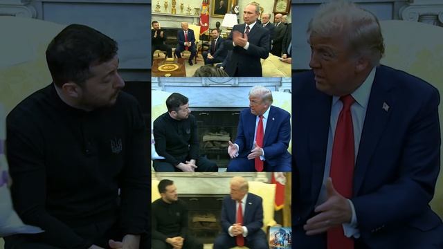 переговоры трампа и зеленского в белом доме