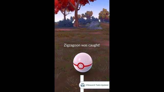 Pokémon GO-Shadow Galarian Zigzagoon