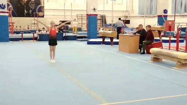 Вольные упражнения