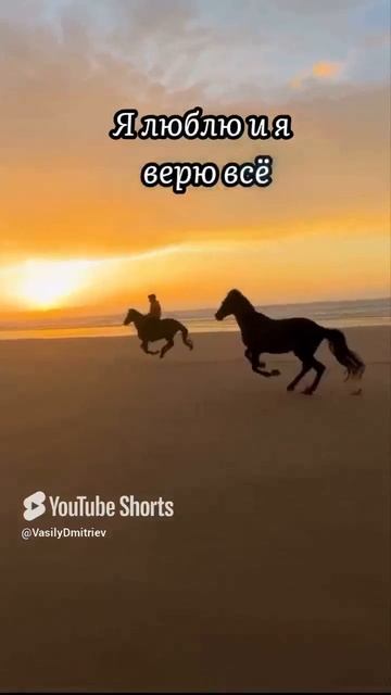 Я хочу весь с тобою мир стихи читает автор В.Дмитриев #стихи #чувства #любовь  #поэзия #love #shorts