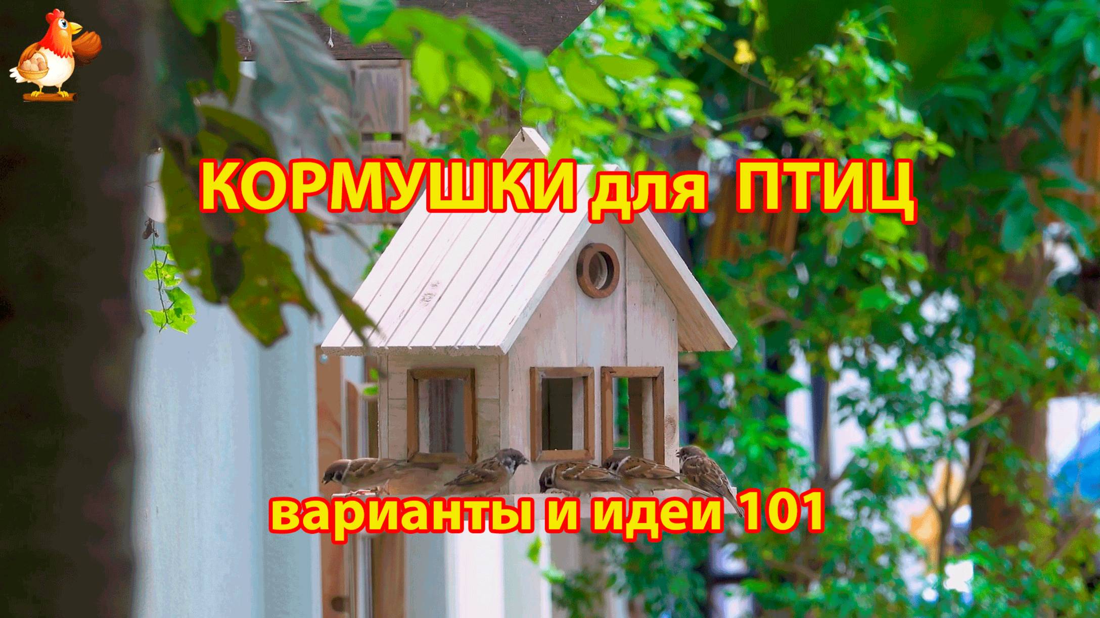 Кормушка для птиц своими руками как сделать пошагово  (101) 🪚🪛🔨 Идеи для дачи и сада❣️
