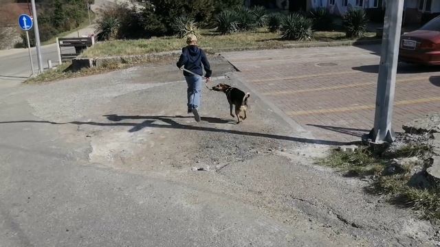 ОСОБАЯ ВАЙБОВАЯ ПРОГУЛОЧКА С КУПОЙ ❤️