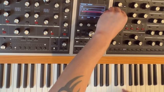 Moog One in ＂Ambience Of The Dark Skies＂ ：： Dawless performance