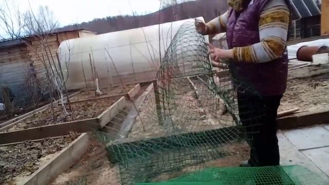 Садовая хроника..без слов. 11.04.23г
