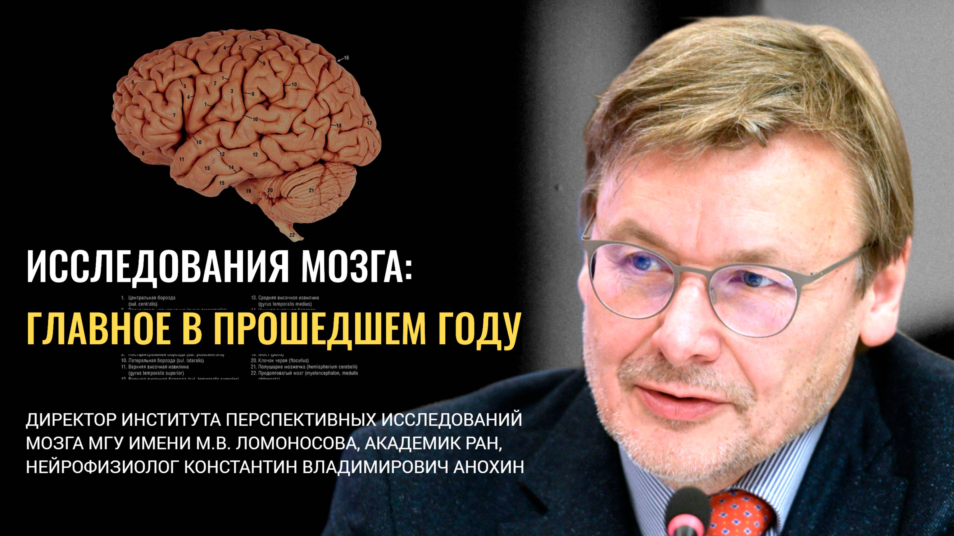 Исследования мозга: главное в прошедшем году. Константин Анохин