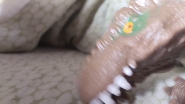 1000000796.mp4