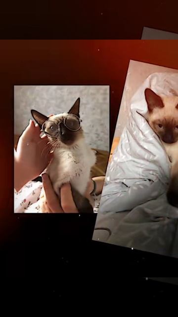 Бабушка сделала видео