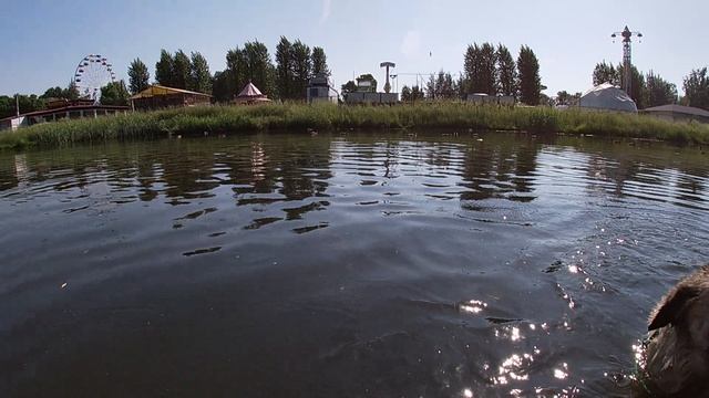Лика Пума Парк победы