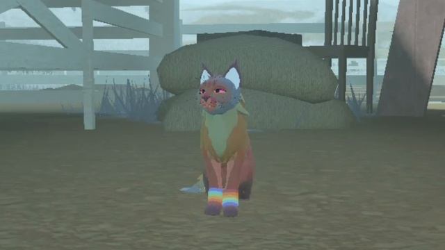 Радужка vs Шкура олененка wcue