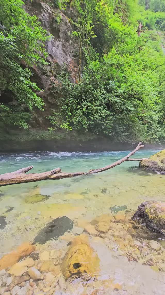 Река Гега с прозрачною водой, Абхазия