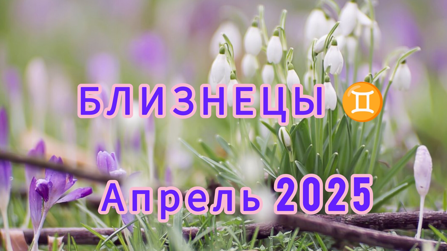 БЛИЗНЕЦЫ ♊ апрель 2025 года. Расклад таро. Что ещё желать лучшего