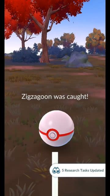 Pokémon GO-Shadow Galarian Zigzagoon